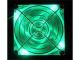 Green Quad LED 80mm Lighted Fan Retail Box