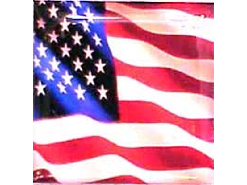 Case Badge, American Flag