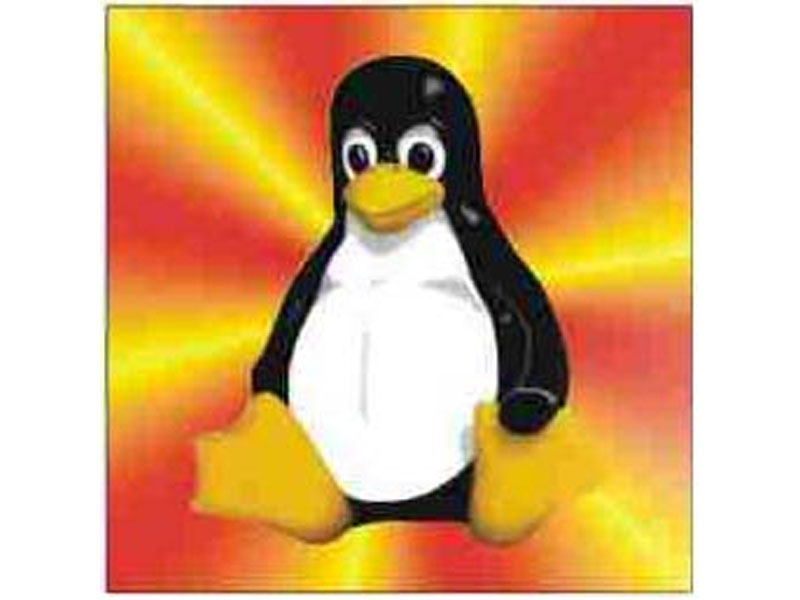 [CABANTLIN] Case Badge, Linux Penguin