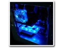 Vantec SP-FC70-BL UV LED Blue Spectrum Fan Card